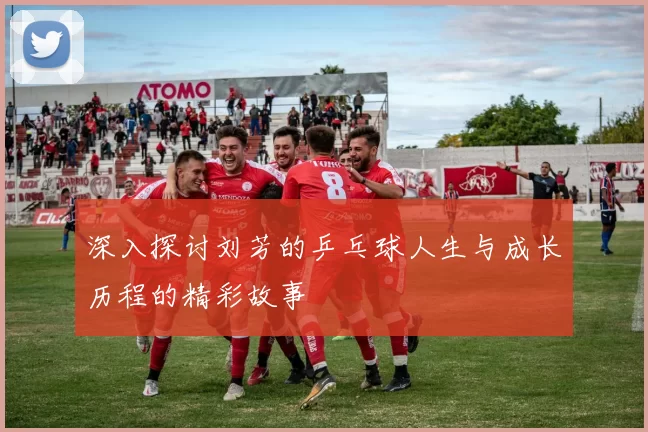 深入探讨刘芳的乒乓球人生与成长历程的精彩故事