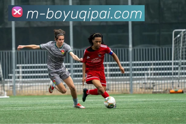 博鱼棋牌平台生态图